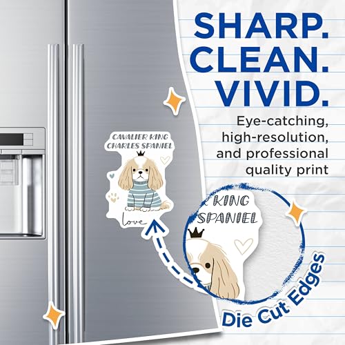 (2 Pack) Cavalier King Charles Spaniel Magnets - Dog Lover Decor - Cute Pet Animal Magnets for Fridge - 5" On Longest Side - for Cars, Fridges, Toolboxes - Made in USA - MAG7295