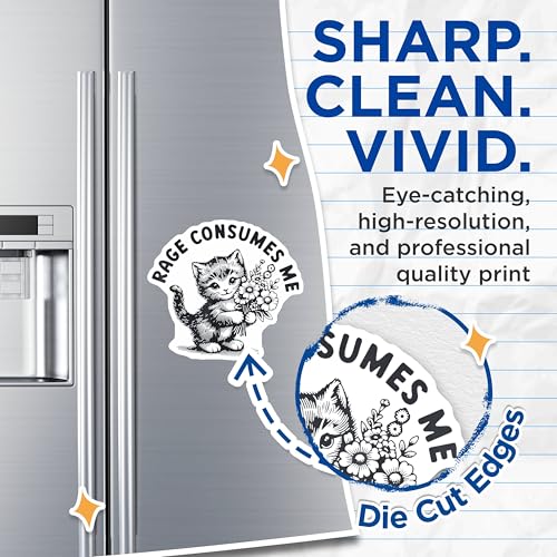 (2 Pack) Cute Cat Rage Consumes Me Magnets - Funny Cat Magnets - Cat Art Magnets for Refrigerator - 5" On Longest Side - for Cars, Refrigerators, Toolboxes, Lockers - Made in USA MAG3550