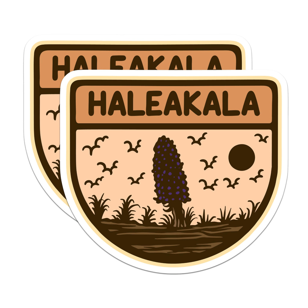(2 Pack) Haleakala National Park Magnets - Maui Hawaii Travel Souvenir - Silversword Landscape Art Collectible - 5 Inches On Longest Side - Thick Durable Magnet - Made in USA - MAG19260