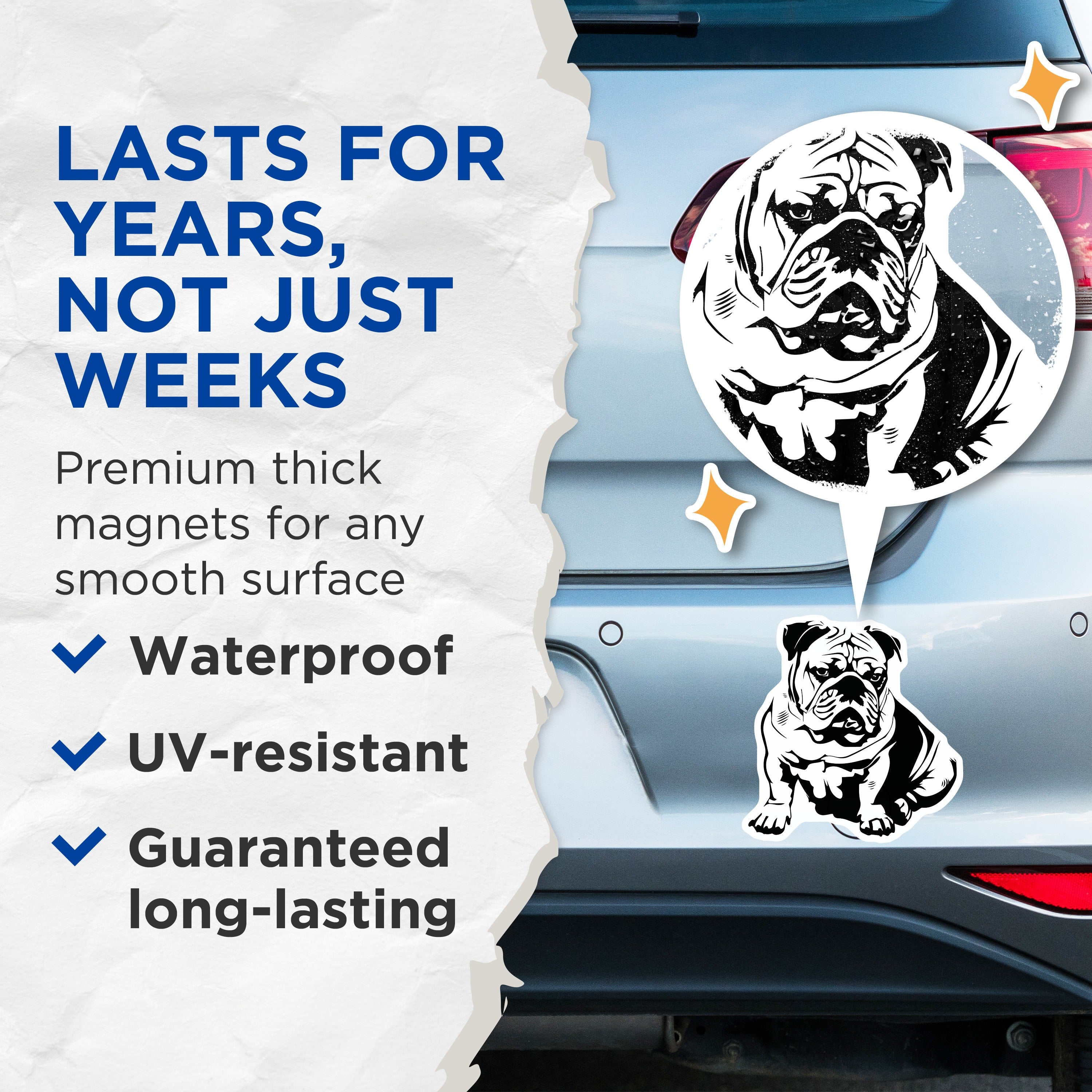 (2 Pack) Bulldog Magnets - English Bulldog Decor - Dog Breed Lover Item - Pet Owner Fridge Magnet - Animal Art - 5 Inches On Longest Side - Thick Durable Magnet - Made in USA - MAG36108