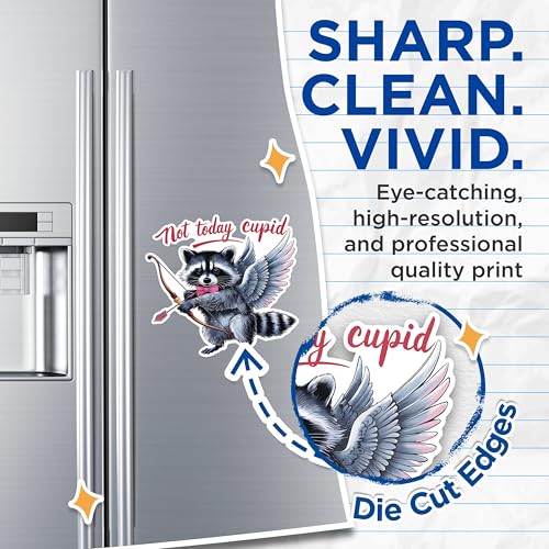 (2 Pack) Not Today Cupid Magnets - Funny Raccoon Magnets - Anti Valentine's Day Magnets- 5" On Longest Side - for Fridges, Toolboxes, Cars - Made in USA - MAG3017