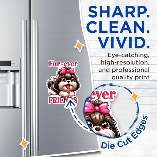 (2 Pack) Fur-Ever Friends Magnets - Cute Dog Magnets - Animal Lovers Fridge Magnets- 5" On Longest Side - for Fridges, Toolboxes, Cars - Made in USA - MAG2824