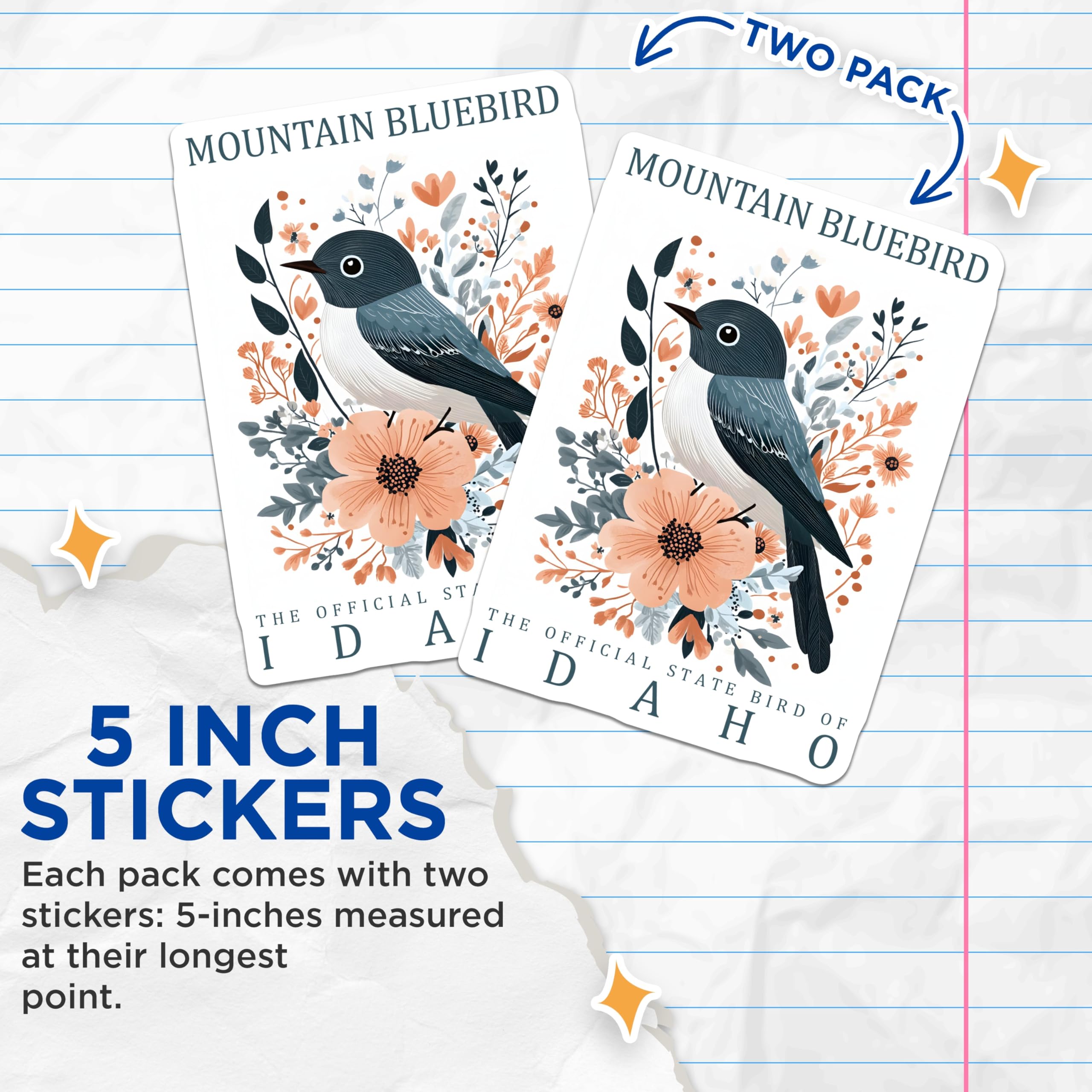(2 Pack) Mountain Bluebird Stickers - Idaho State Bird - Floral Stickers - 5" On Longest Side - Sticks to Smooth Flat Surfaces - Made in USA - BMCS18889