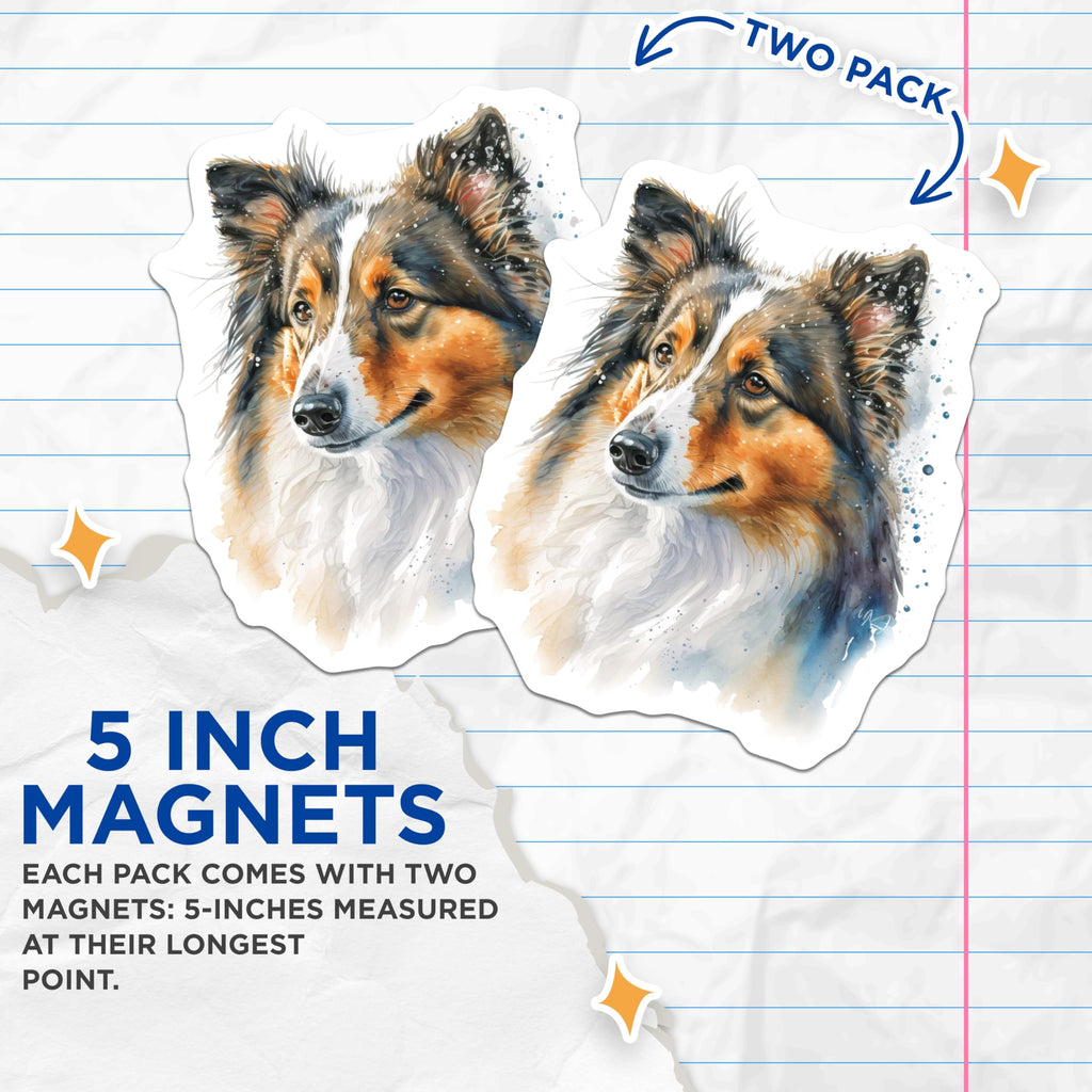 (2 Pack) Sheltie Magnets - Watercolor Dog Art - Shetland Sheepdog Decor - Canine Lover Magnet Set - 5 Inches On Longest Side - Thick Durable Magnet - Made in USA - MAG24365