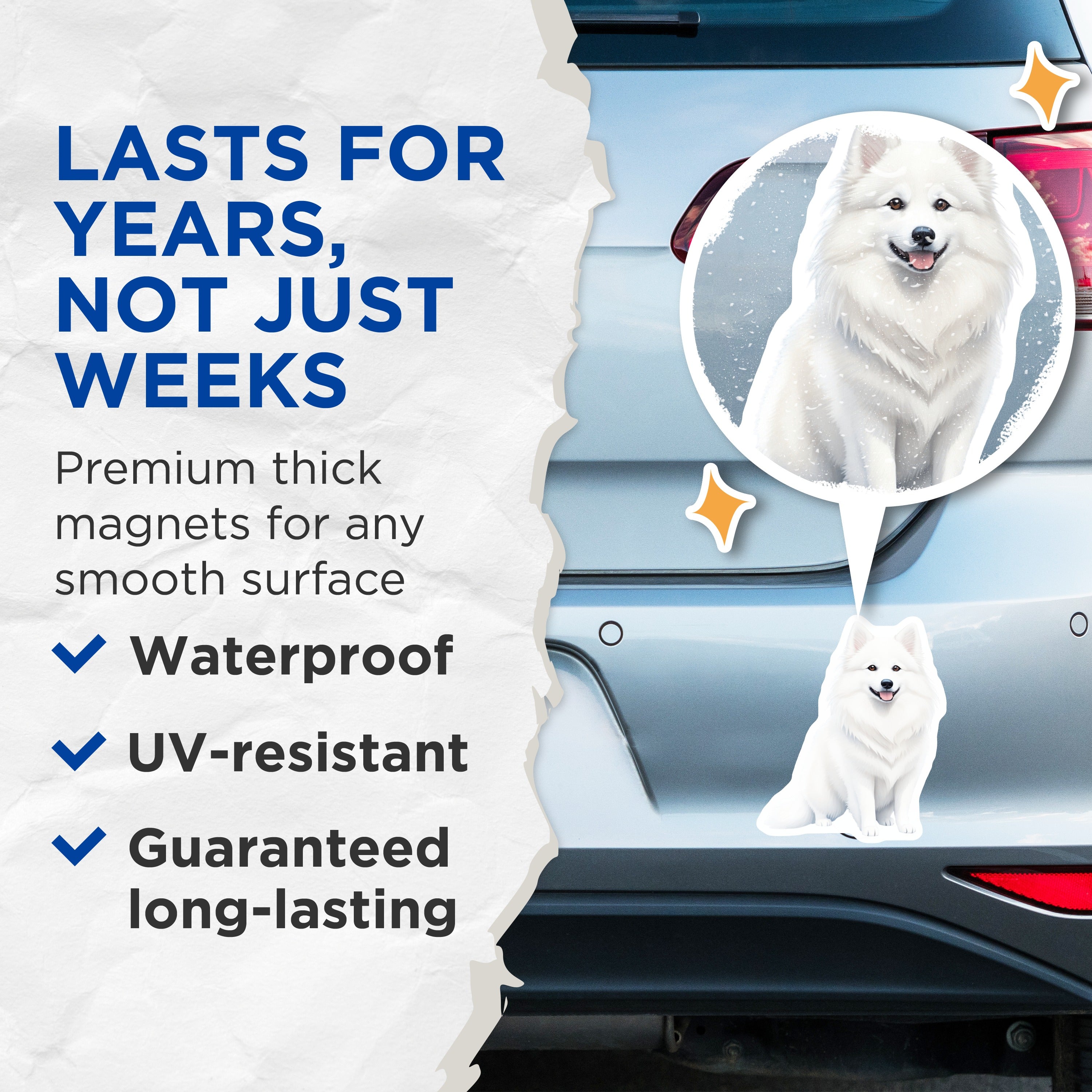 (2 Pack) Samoyed Dog Magnets - White Fluffy Canine Accent - Happy Pet Lover Decor - Refrigerator Sticker for Dog Owners - 5 Inches On Longest Side - Thick Durable Magnet - Made in USA - MAG37712