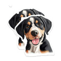 (2 Pack) Greater Swiss Mountain Dog Magnets - Swissy Puppy Decor - Happy Canine Art - Pet Enthusiast Accessories - 5 Inches On Longest Side - Thick Durable Magnet - Made in USA - MAG24031
