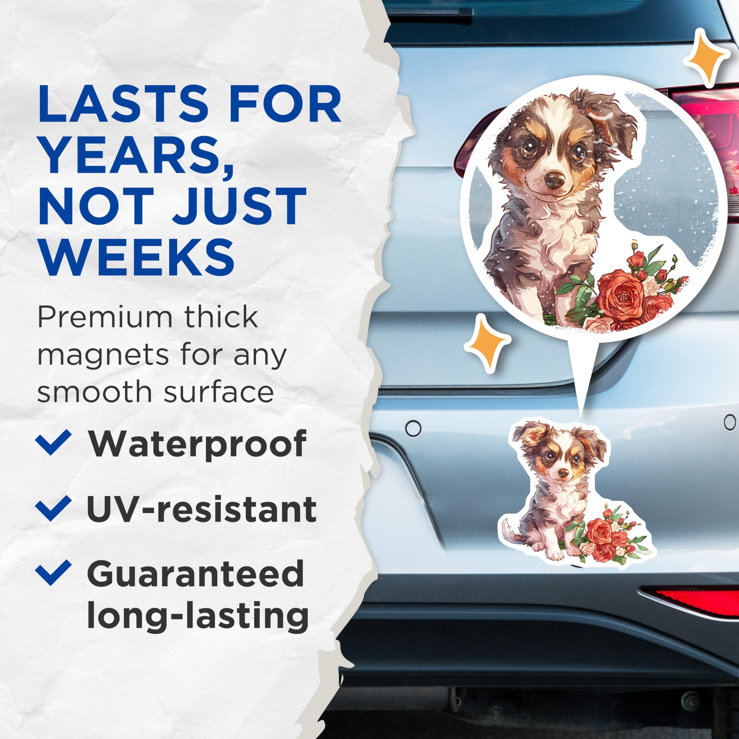 (2 Pack) Australian Shepherd Magnets - Cute Puppy - Floral Home Decor - 5" On Longest Side - Premium Magnet - for Cars, Refrigerators, Toolboxes, Lockers - Made in USA - MAG17105