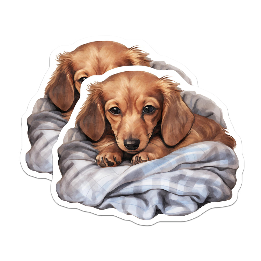 (2 Pack) Dachshund Magnets - Cute Puppy Decor - Pet Lover Fridge Accessories - 5" On Longest Side - Premium Magnet - for Cars, Refrigerators, Toolboxes, Lockers - Made in USA - MAG16488