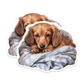 (2 Pack) Dachshund Magnets - Cute Puppy Decor - Pet Lover Fridge Accessories - 5" On Longest Side - Premium Magnet - for Cars, Refrigerators, Toolboxes, Lockers - Made in USA - MAG16488