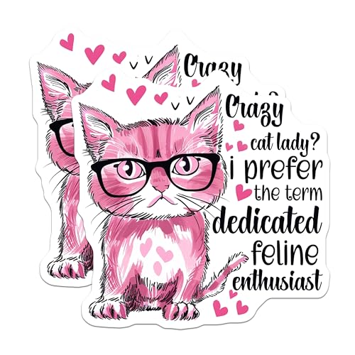 (2 Pack) Crazy Cat Lady Magnets - Funny Cat Lover Magnets - Feline Enthusiast Magnets - Cute Cat Magnets for Fridge - 5" On Longest Side - for Cars, Fridges, Toolboxes - Made in USA - MAG4338