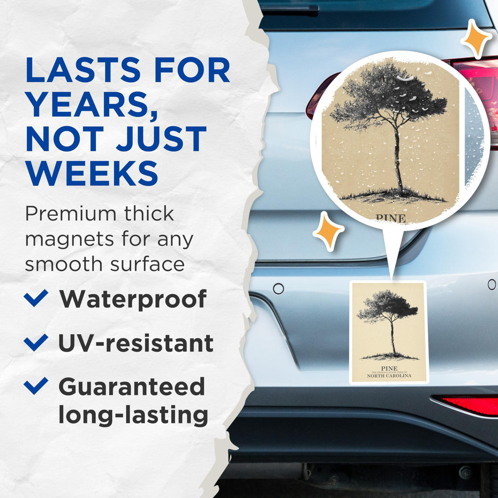 (2 Pack) Pine Tree Magnets - North Carolina Decor - State Tree Souvenirs - 5" On Longest Side - Premium Magnet - for Cars, Refrigerators, Toolboxes, Lockers - Made in USA - MAG17514