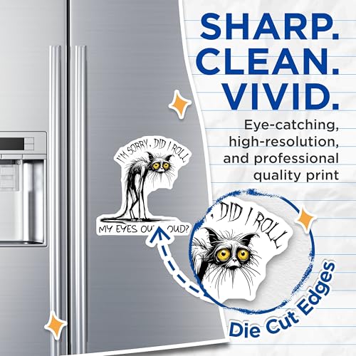 (2 Pack) Funny Cat Magnets - I'm Sorry Did I Roll My Eyes Out Loud - Quirky Cat Art - 5" On Longest Side - for Cars, Fridges, Toolboxes - Made in USA - MAG7334