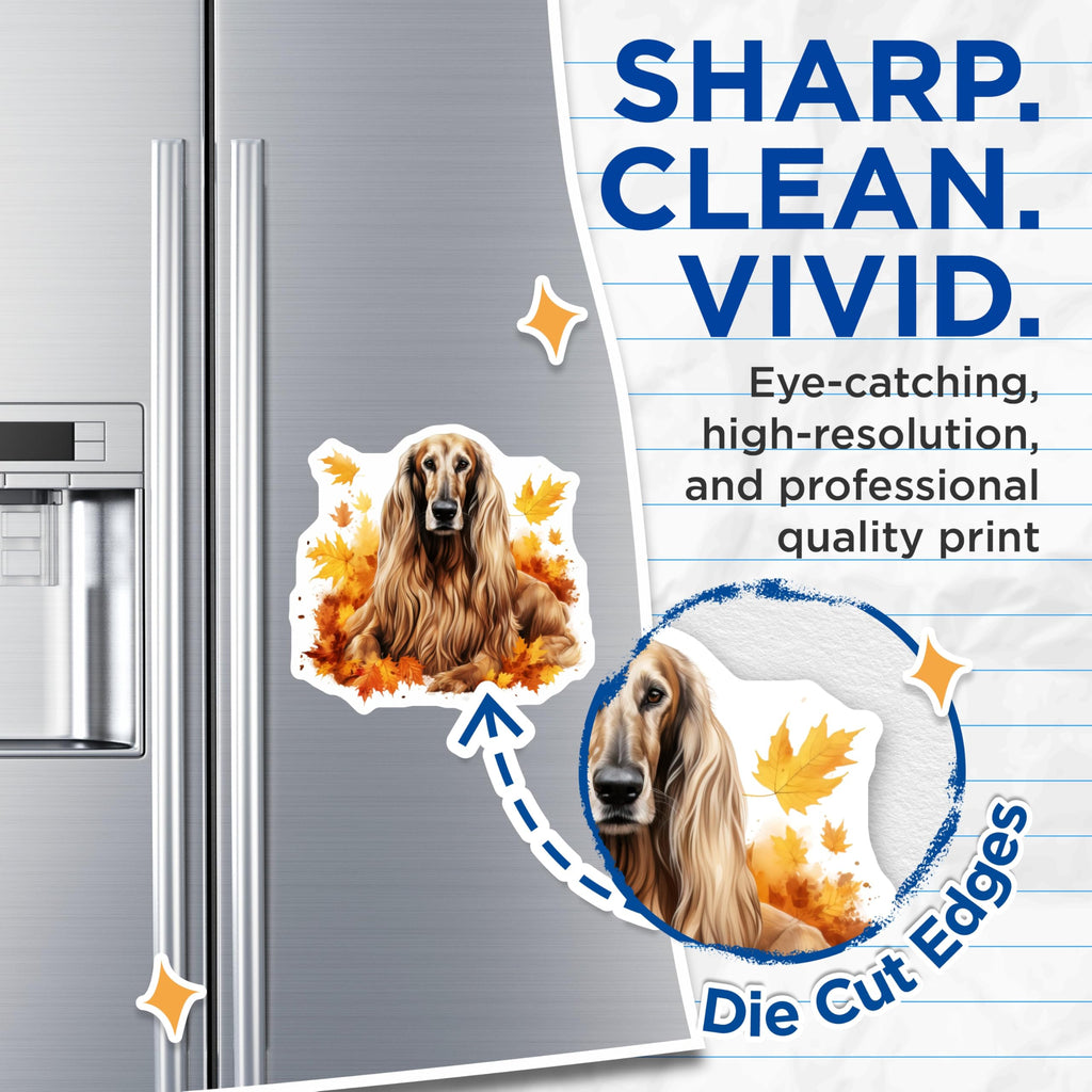 (2 Pack) Afghan Hound Magnets - Elegant Fall Dog Art - Autumn Leaves Pet Lover Refrigerator Decor - 5 Inches On Longest Side - Thick Durable Magnet - Made in USA - MAG23986