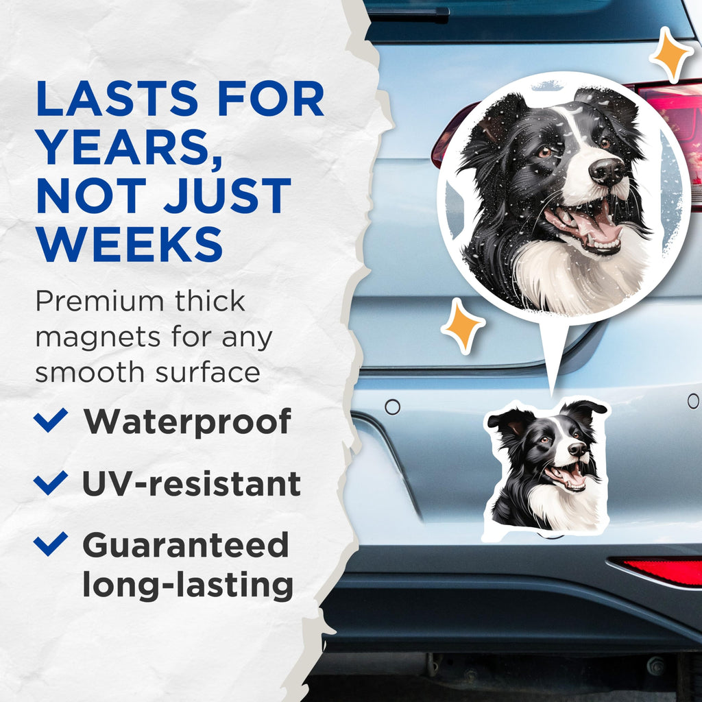 (2 Pack) Border Collie Magnets - Happy Dog Art - Pet Lover Refrigerator Decor - Dog Mom Dad Kitchen Accessory - 5 Inches On Longest Side - Thick Durable Magnet - Made in USA - MAG27574