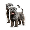 (2 Pack) Bouvier des Flandres Magnets - Shaggy Dog Art Decor - Dog Mom Dad Fridge Magnets - Pet Lover Animal Artwork - 5 Inches On Longest Side - Thick Durable Magnet - Made in USA - MAG26323