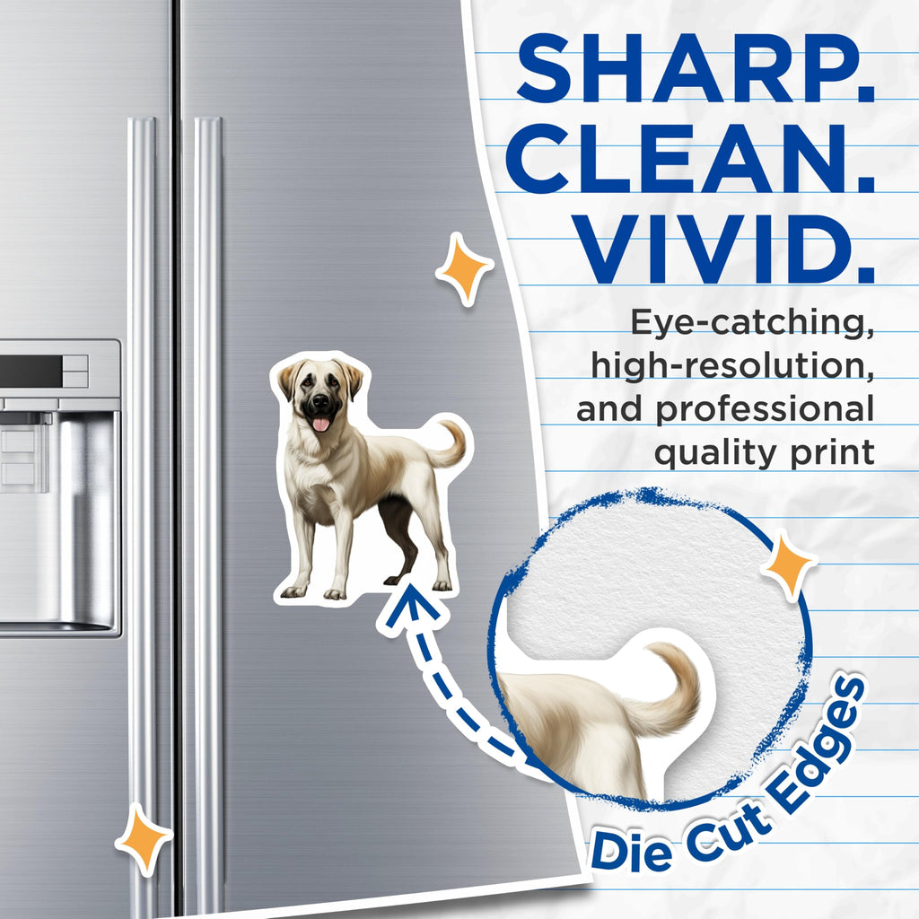 (2 Pack) Akbash Dog Magnets - Loyal Livestock Guardian Dog Art - Pet Owner Refrigerator Decor - 5 Inches On Longest Side - Thick Durable Magnet - Made in USA - MAG29417