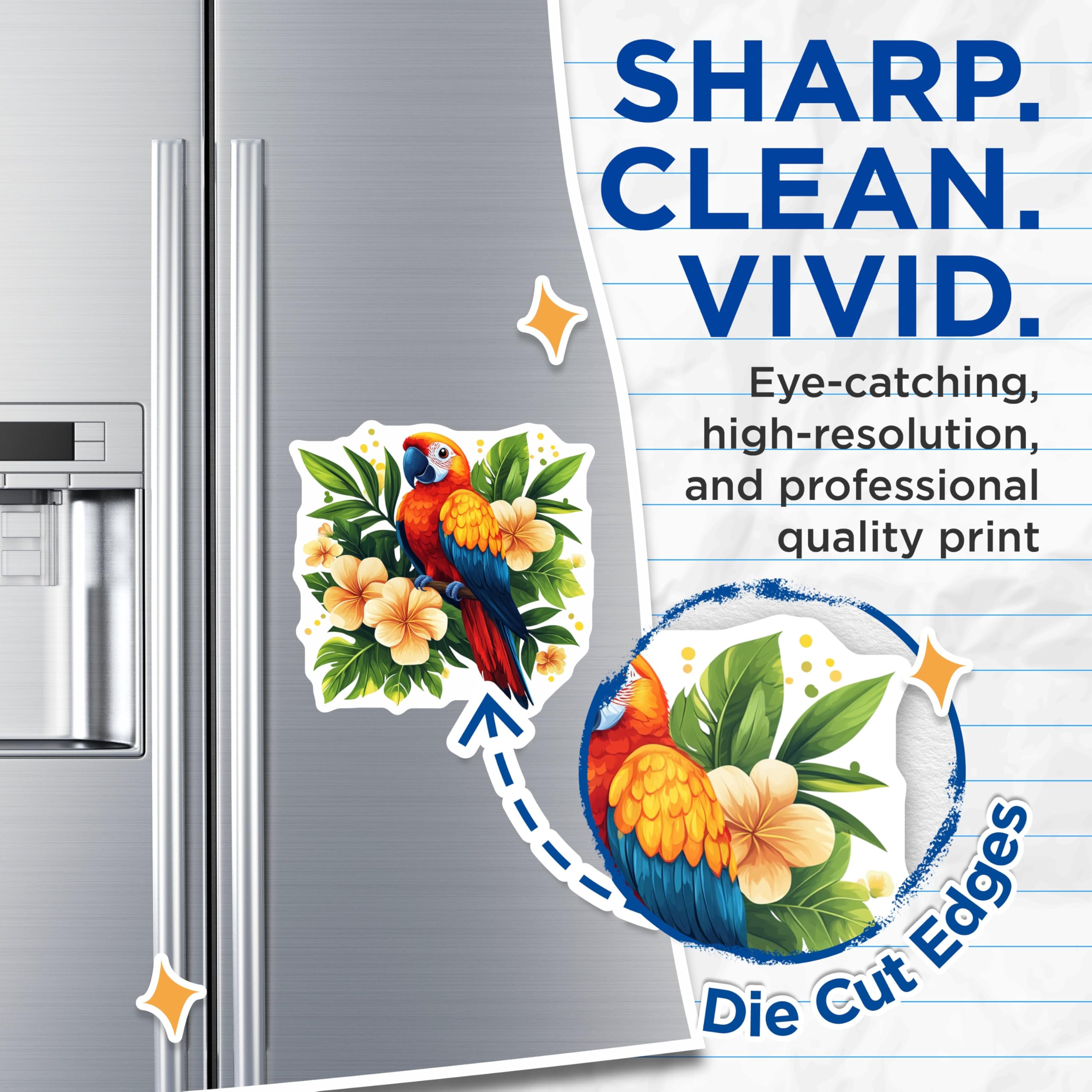 (2 Pack) Macaw Parrot Magnets - Tropical Bird Refrigerator Decor - Exotic Jungle Kitchen Accessory - 5 Inches On Longest Side - Thick Durable Magnet - Made in USA - MAG29903
