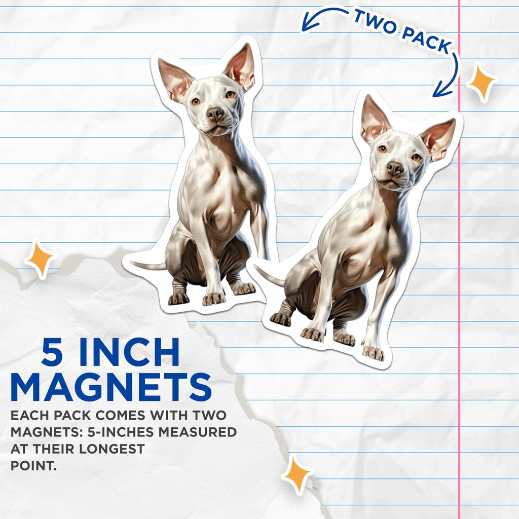 (2 Pack) White Hairless Dog Magnets - Xoloitzcuintli Art - Unique Pet Lover Appliance Decor - 5 Inches On Longest Side - Thick Durable Magnet - Made in USA - MAG29057