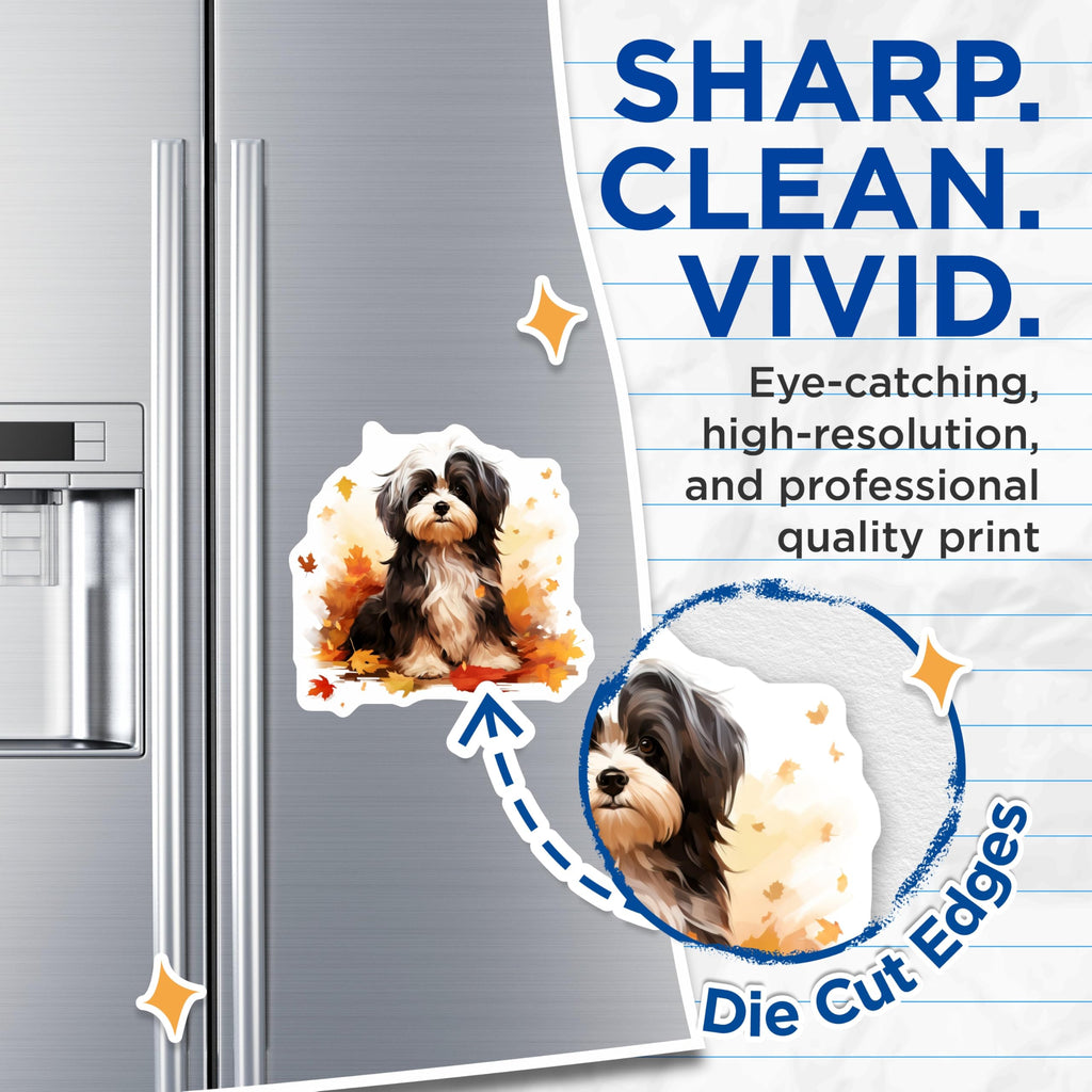 (2 Pack) Havanese Dog Magnets - Cute Pet Art - Autumn Leaf Decor - Dog Lover Fridge Decor - 5 Inches On Longest Side - Thick Durable Magnet - Made in USA - MAG28244