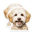 (2 Pack) Goldendoodle Magnets - Cute Dog Decor - Pet Owner Accessory - 5 Inches On Longest Side - Thick Durable Magnet - Made in USA - MAG26233