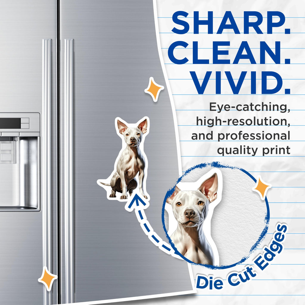 (2 Pack) White Hairless Dog Magnets - Xoloitzcuintli Art - Unique Pet Lover Appliance Decor - 5 Inches On Longest Side - Thick Durable Magnet - Made in USA - MAG29057