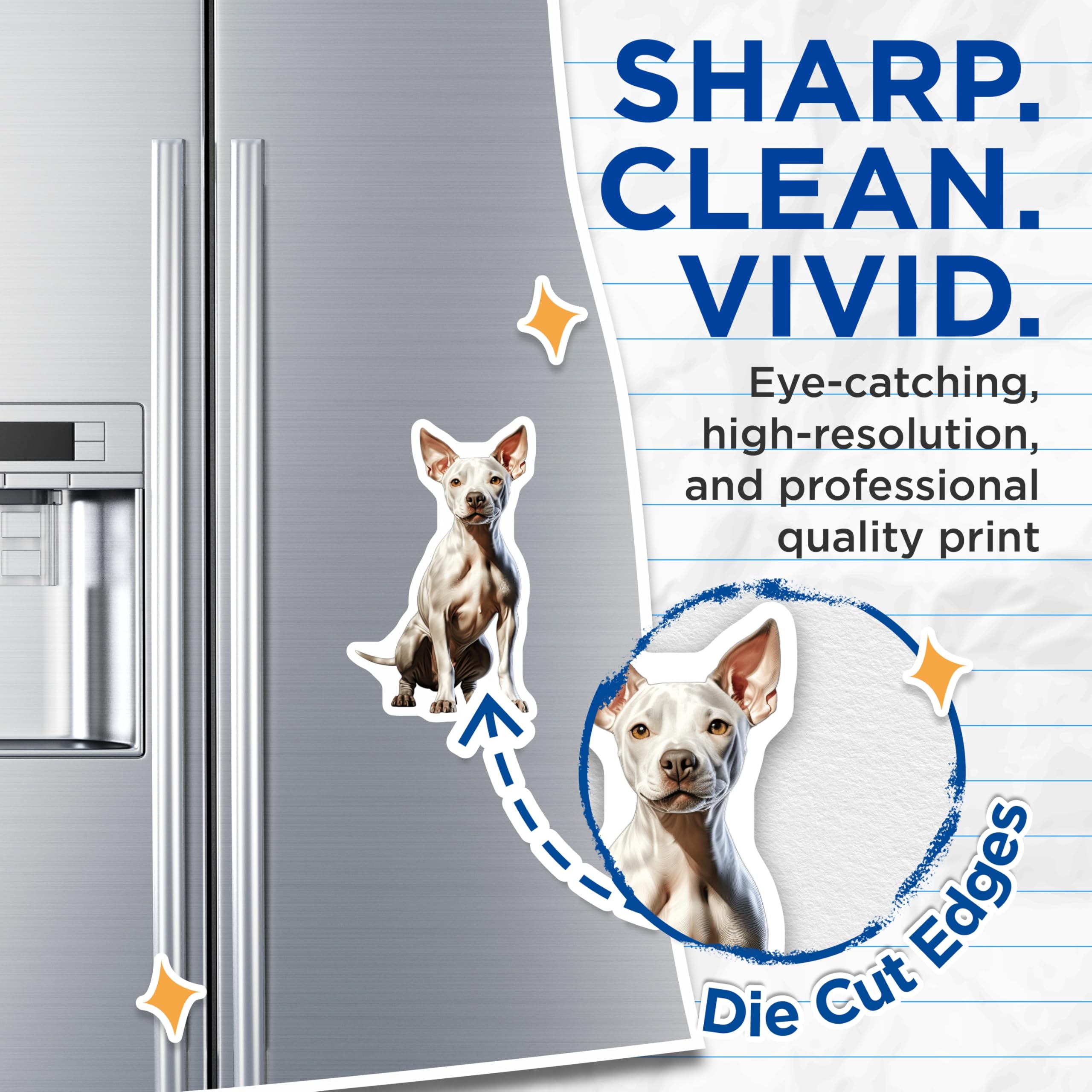 (2 Pack) White Hairless Dog Magnets - Xoloitzcuintli Art - Unique Pet Lover Appliance Decor - 5 Inches On Longest Side - Thick Durable Magnet - Made in USA - MAG29057