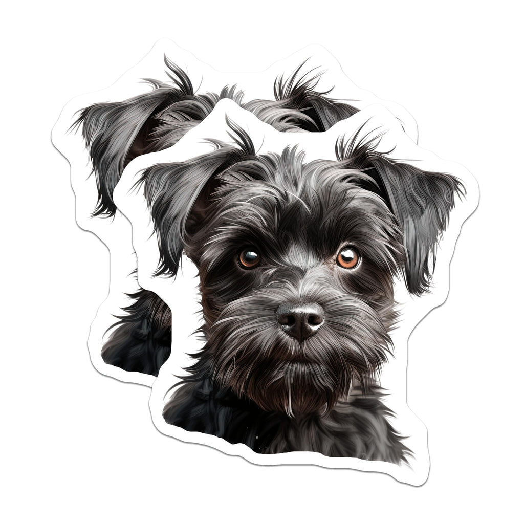 (2 Pack) Black Shaggy Dog Magnets - Cute Schnauzer Puppy Art - Pet Lover Kitchen Decor - Refrigerator Animal Accent - 5 Inches On Longest Side - Thick Durable Magnet - Made in USA - MAG24705