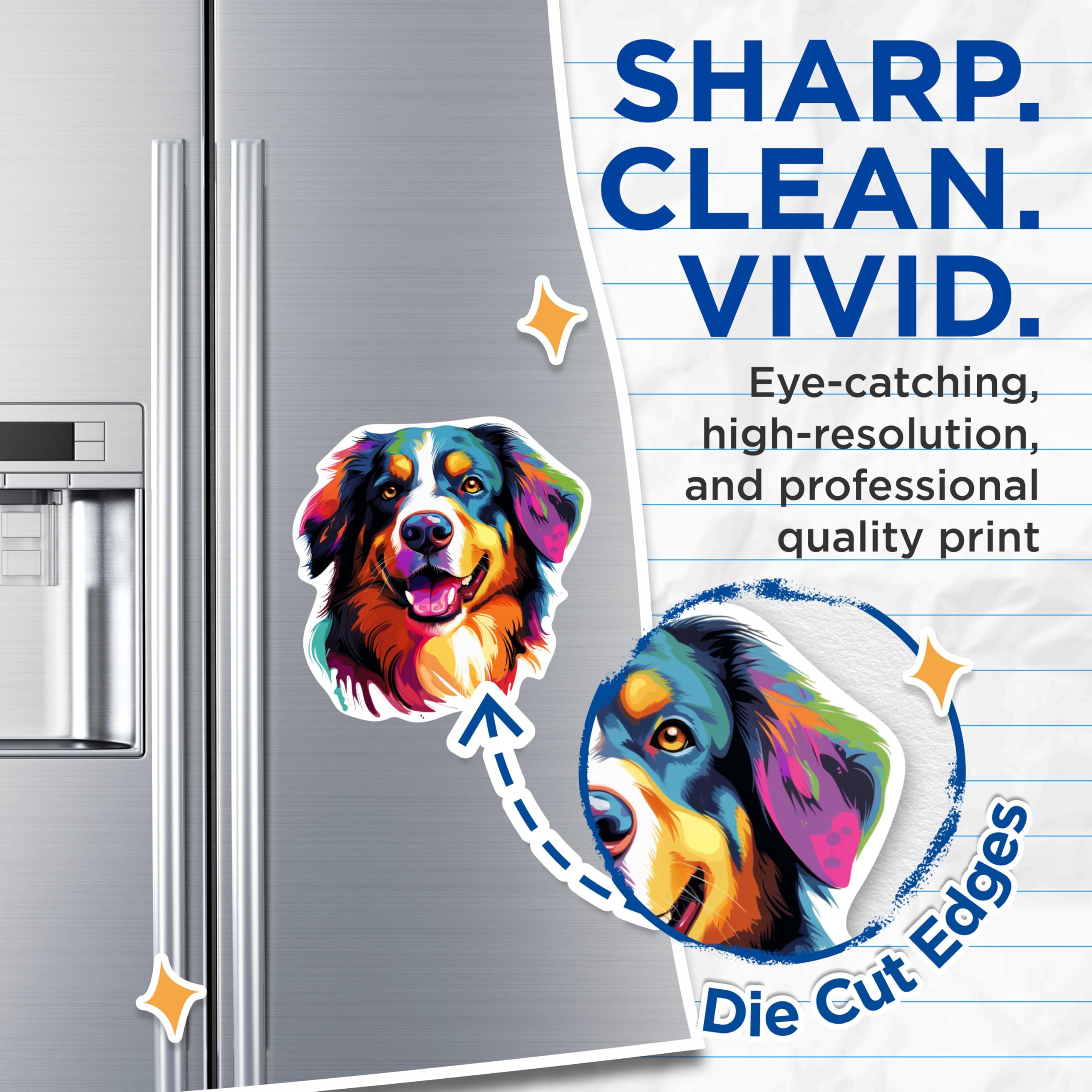 (2 Pack) Bernese Mountain Dog Breed Magnets - 5 Inches On Longest Side - Choose from Over 100 Dog Breeds - for Cars, Refrigerators, Toolboxes - Made in USA - MAG1777