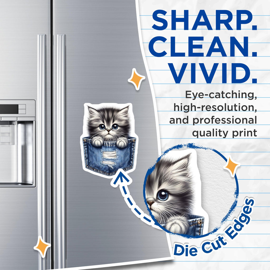 (2 Pack) Kitten in Pocket Magnets - Cute Animal Art - Fridge Magnets Set - 5" On Longest Side - Premium Magnet - for Cars, Refrigerators, Toolboxes, Lockers - Made in USA - MAG14405