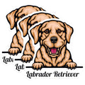 (3 Pack) Labrador Decals - Dog Breed Sticker - Puppy Decals - Cute Dog Stickers - 3 Inches On Longest Side - Easy Peel & Apply - Made in USA - 3MCS2986