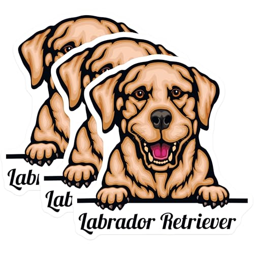 (3 Pack) Labrador Decals - Dog Breed Sticker - Puppy Decals - Cute Dog Stickers - 3 Inches On Longest Side - Easy Peel & Apply - Made in USA - 3MCS2986