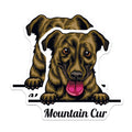 (2 Pack) Mountain Cur Dog Stickers - Cute Pet Dog Decal - Animal Lover Stickers - 5" On Longest Side - Sticks to Smooth Flat Surfaces - Made in USA - BMCS4220