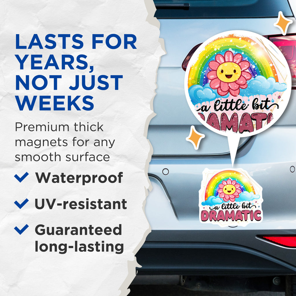 (2 Pack) A Little Bit Dramatic Magnets - Funny Sassy Quote Decor - Rainbow Flower Kitchen Office - 5 Inches On Longest Side - Thick Durable Magnet - Made in USA - MAG38079