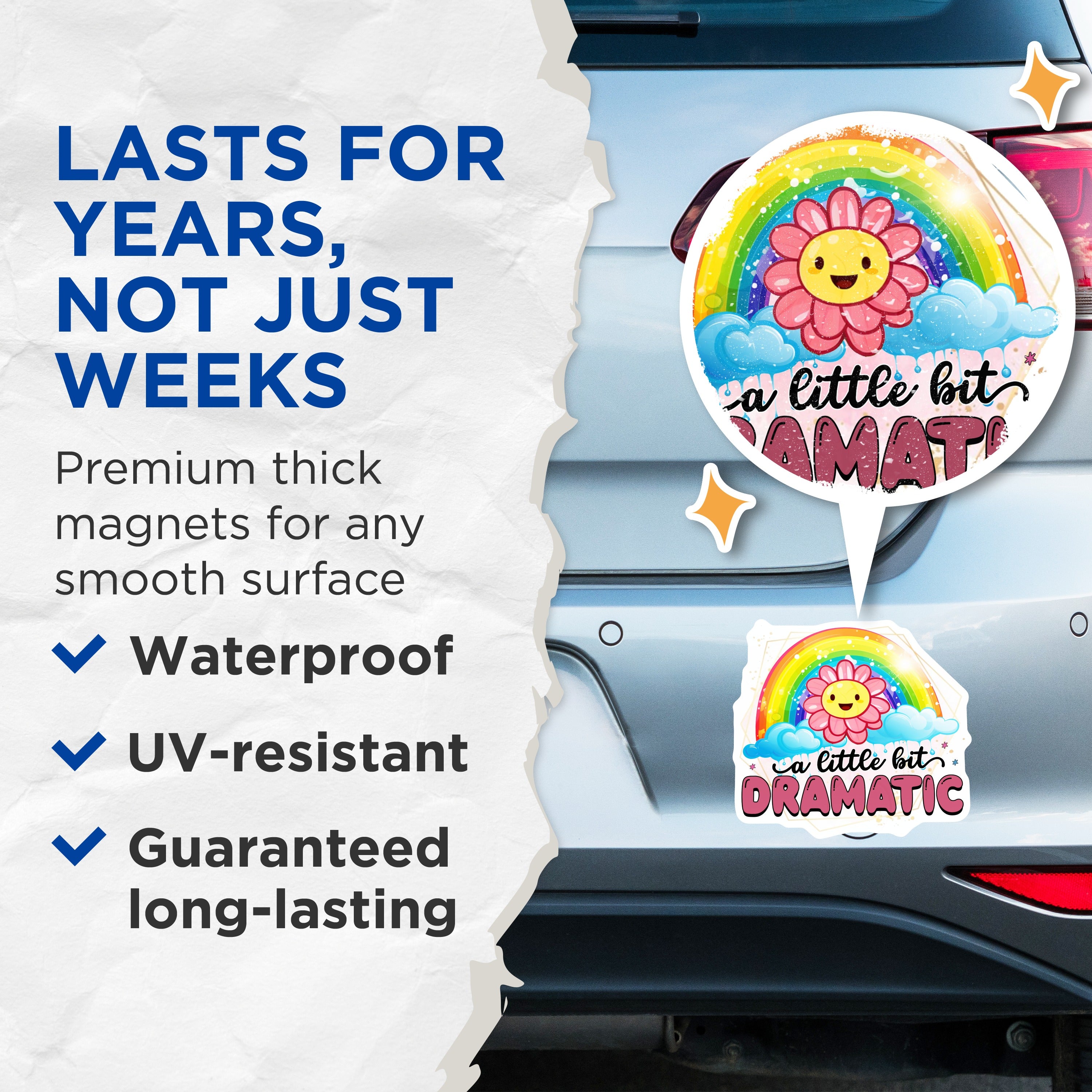 (2 Pack) A Little Bit Dramatic Magnets - Funny Sassy Quote Decor - Rainbow Flower Kitchen Office - 5 Inches On Longest Side - Thick Durable Magnet - Made in USA - MAG38079
