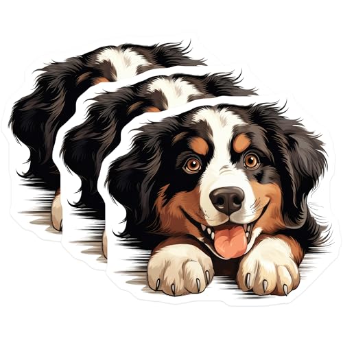 (3 Pack) Bernese Mountain Dog Decals - Cute Dog Laptop Decal - Animal Decal - 3 Inches On Longest Side - Easy Peel & Apply - Made in USA - 3MCS8629