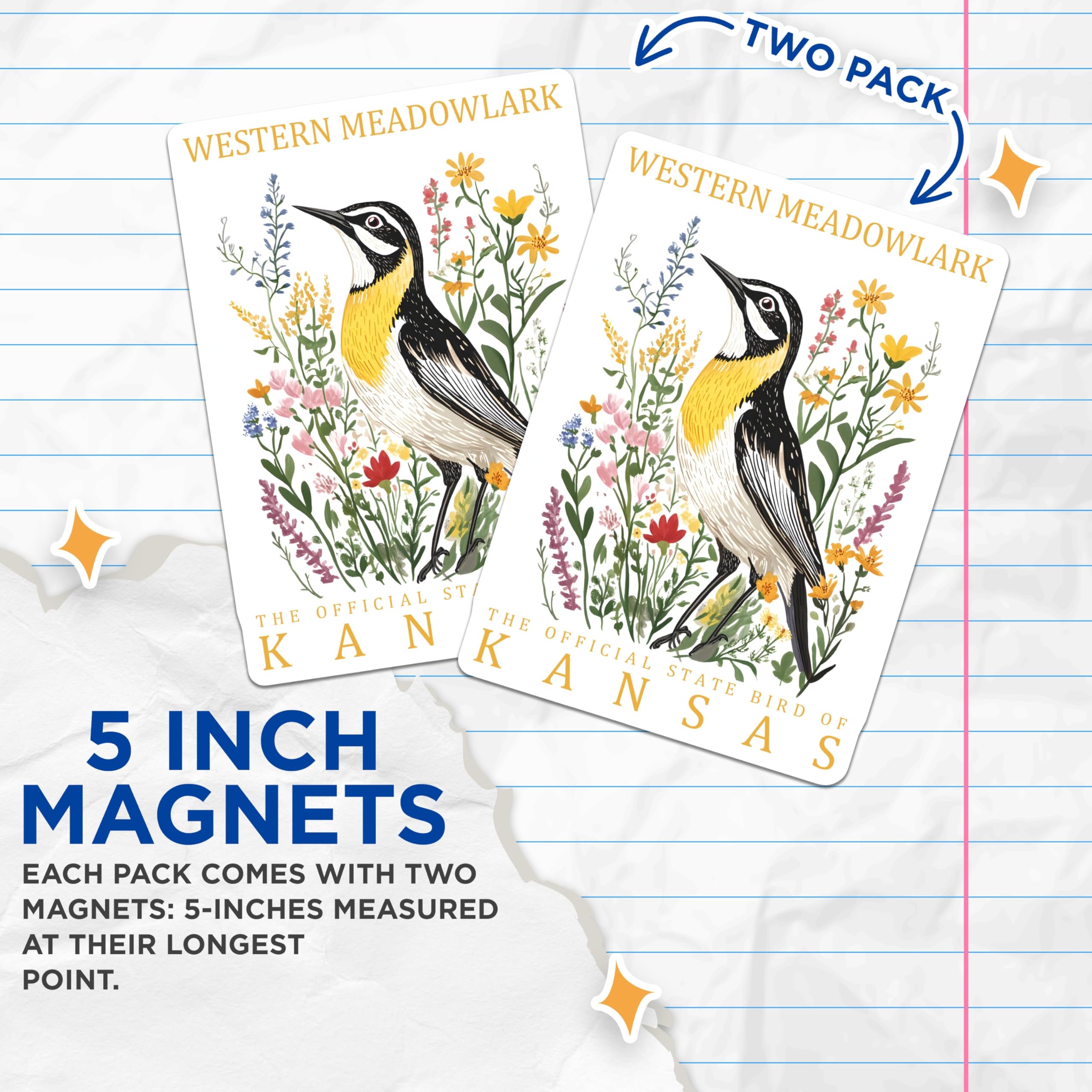 (2 Pack) Western Meadowlark Magnets - Kansas State Bird Decor - Bird Lover Souvenir - 5" On Longest Side - Premium Magnet - for Cars, Refrigerators, Toolboxes, Lockers - Made in USA - MAG18729