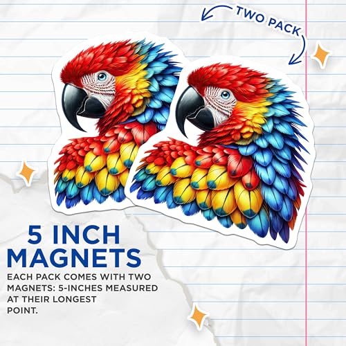 (2 Pack) Colorful Parrot Magnets - Tropical Bird Fridge ation - Vibrant Animal Art - 5" On Longest Side - for Cars, Fridges, Toolboxes - Made in USA - MAG4521
