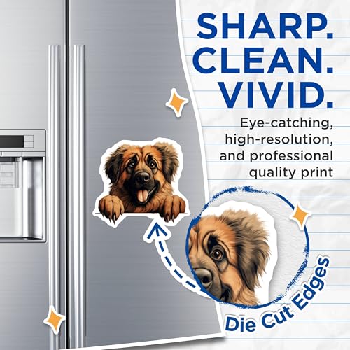 (2 Pack) Animal Lovers Magnet - Fun Fridge Decor - 5" On Longest Side - Sticks to Smooth Flat Surfaces - Made in USA - MAG10215
