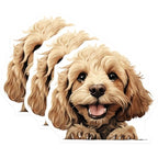 (3 Pack) Cockapoo Decals - Laptop Dog Decal - Cute Puppy Stickers - 3 Inches On Longest Side - Easy Peel & Apply - Made in USA - 3MCS8701