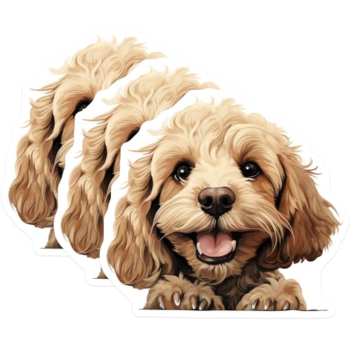 (3 Pack) Cockapoo Decals - Laptop Dog Decal - Cute Puppy Stickers - 3 Inches On Longest Side - Easy Peel & Apply - Made in USA - 3MCS8701
