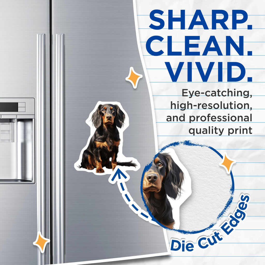 (2 Pack) Black Tan Dog Magnets - Long Haired Coonhound Gordon Setter - Pet Owner Refrigerator Decor - 5 Inches On Longest Side - Thick Durable Magnet - Made in USA - MAG26981