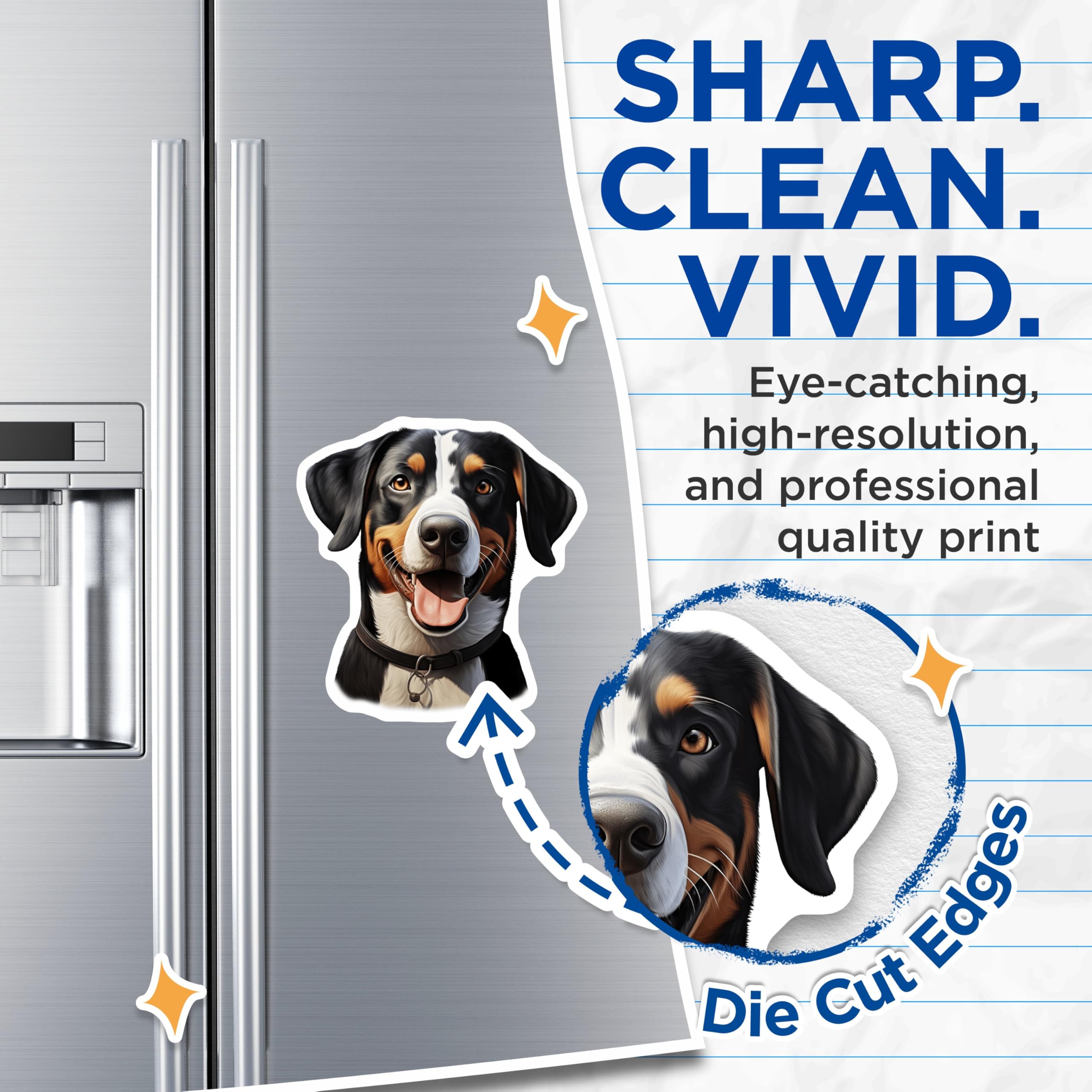 (2 Pack) Entlebucher Mountain Dog Magnets - Happy Canine Decor - Swiss Dog Breed Art - Pet Lover Refrigerator Accessory - 5 Inches On Longest Side - Thick Durable Magnet - Made in USA - MAG24997
