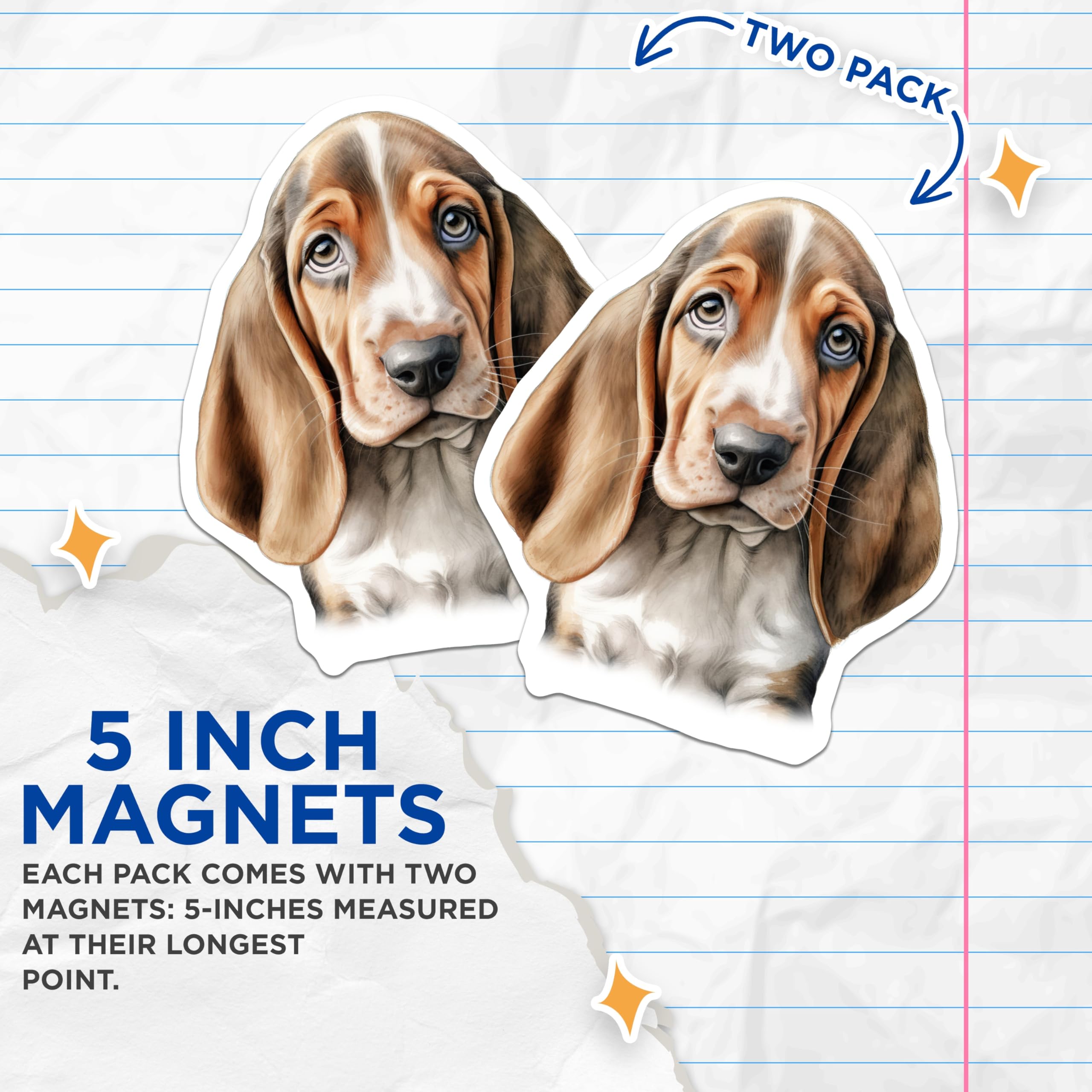 (2 Pack) Basset Hound Puppy Magnets - Adorable Dog Lover Art - Fridge Locker Decor - 5 Inches On Longest Side - Thick Durable Magnet - Made in USA - MAG24345