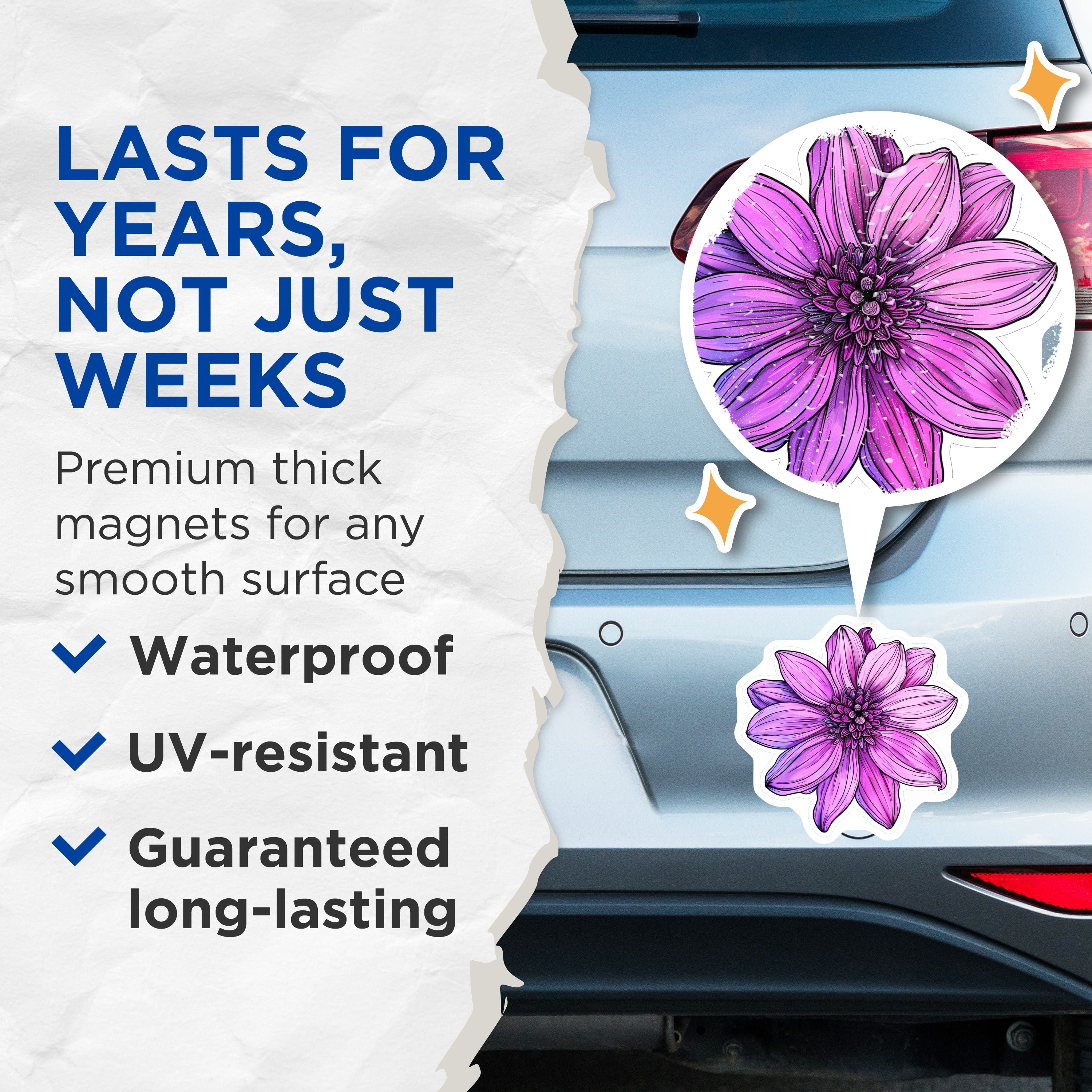 (2 Pack) Purple Dahlia Magnets - Vibrant Floral Fridge Decor - Botanical Art Accent Kitchen Refrigerator - 5 Inches On Longest Side - Thick Durable Magnet - Made in USA - MAG39114