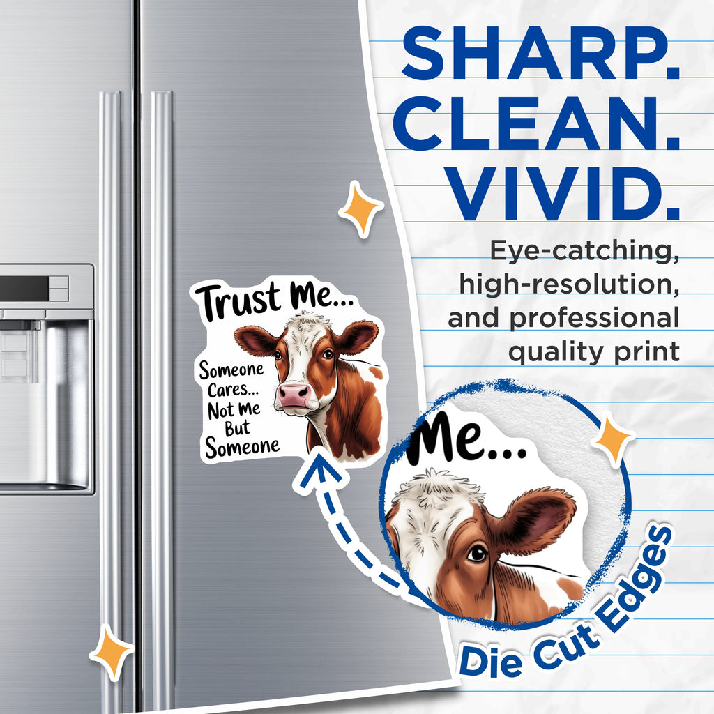 (2 Pack) Funny Cow Magnets - Sarcastic Quote Decor - Humorous Animal Fridge Magnet - 5 Inches On Longest Side - Thick Durable Magnet - Made in USA - MAG37961