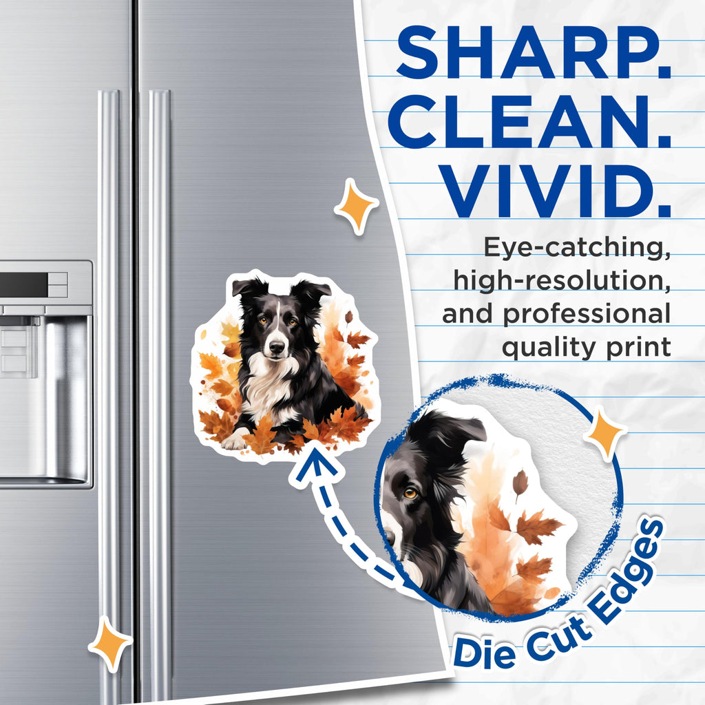 (2 Pack) Border Collie Magnets - Autumn Dog Lover Home Decor - Fall Refrigerator Kitchen Magnet Set - 5 Inches On Longest Side - Thick Durable Magnet - Made in USA - MAG28449