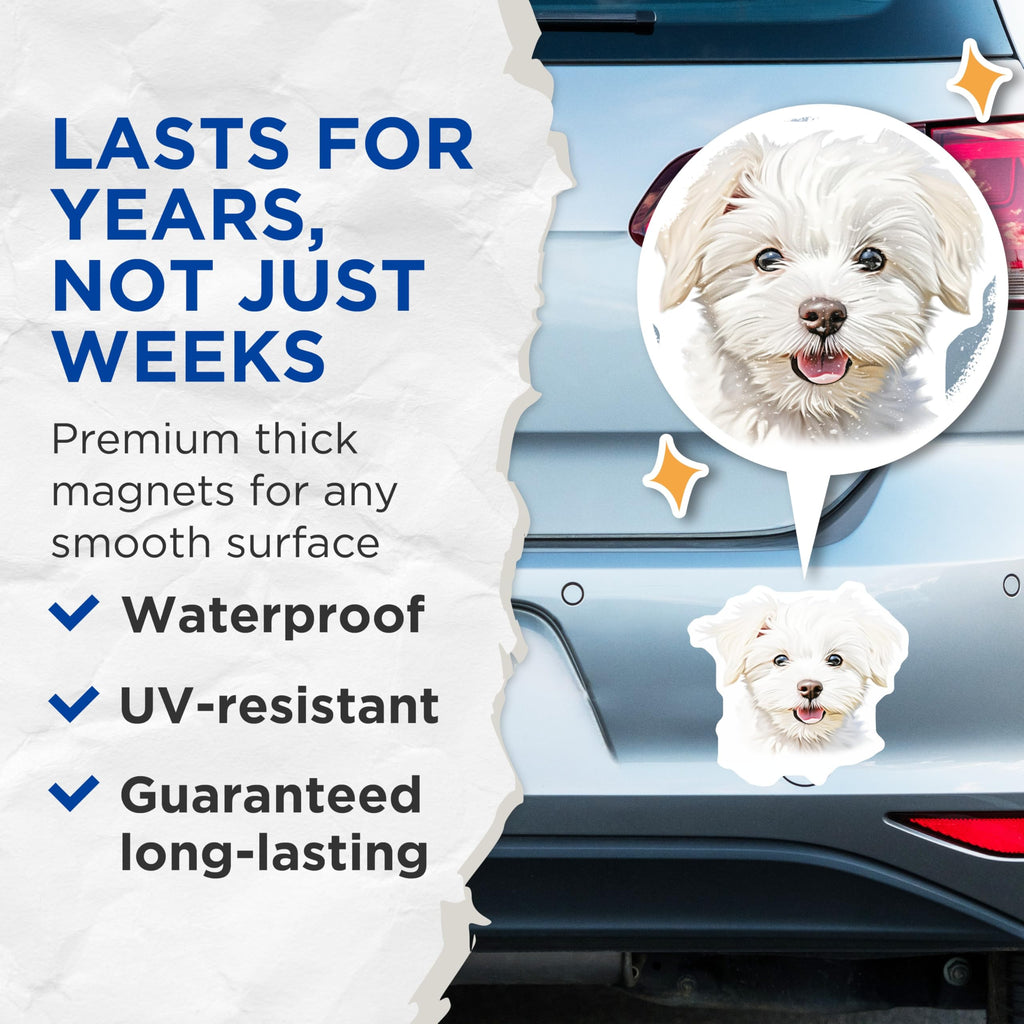 (2 Pack) Cute Maltese Puppy Magnets - Fluffy White Dog Decor - Adorable Pet Owner Refrigerator - 5 Inches On Longest Side - Thick Durable Magnet - Made in USA - MAG27565