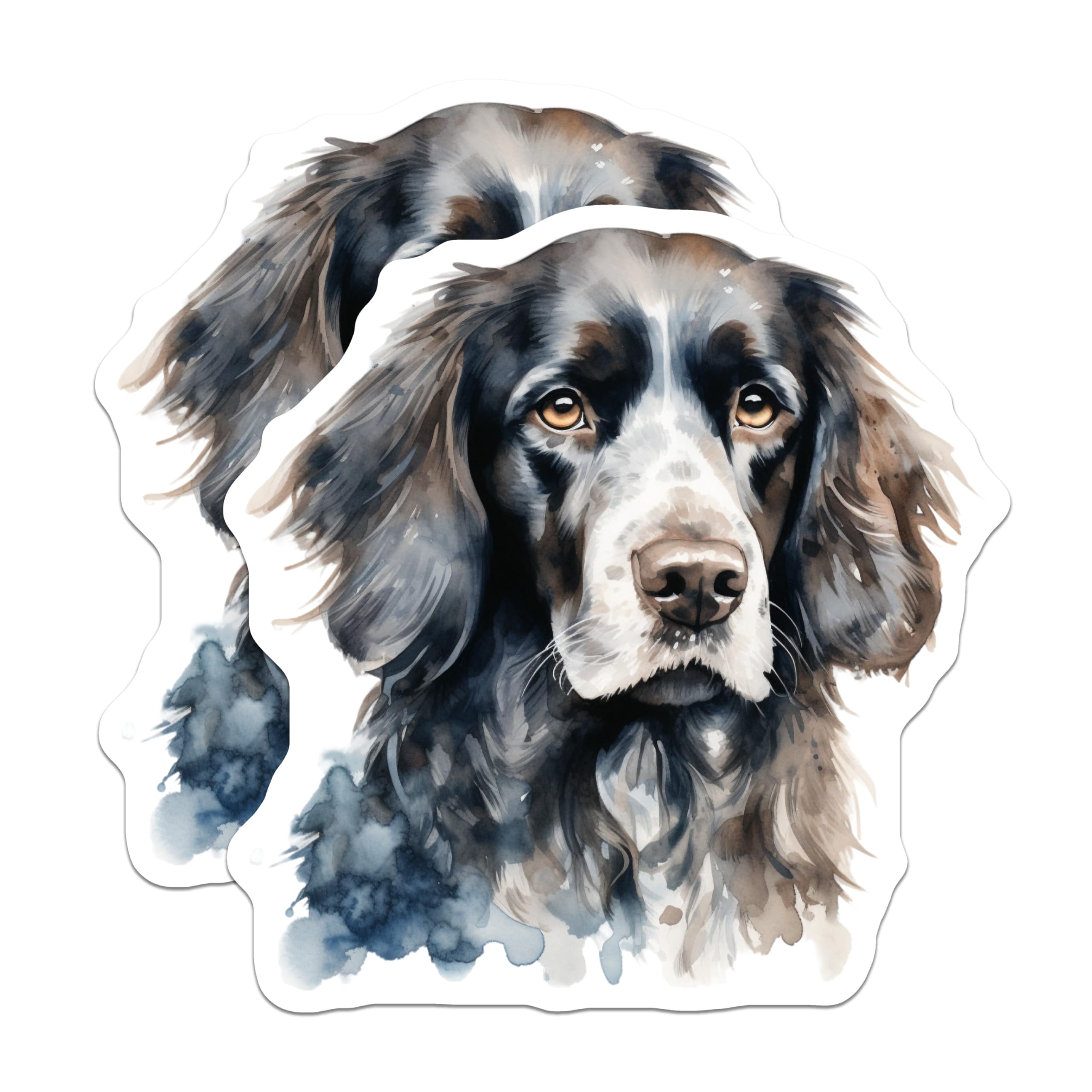 (2 Pack) Springer Spaniel Magnets - Watercolor Dog Art - Pet Lover Home Decor - 5 Inches On Longest Side - Thick Durable Magnet - Made in USA - MAG25298
