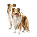 (2 Pack) Rough Collie Magnets - Happy Dog Decor - Collie Owner Accessory - 5 Inches On Longest Side - Thick Durable Magnet - Made in USA - MAG28944