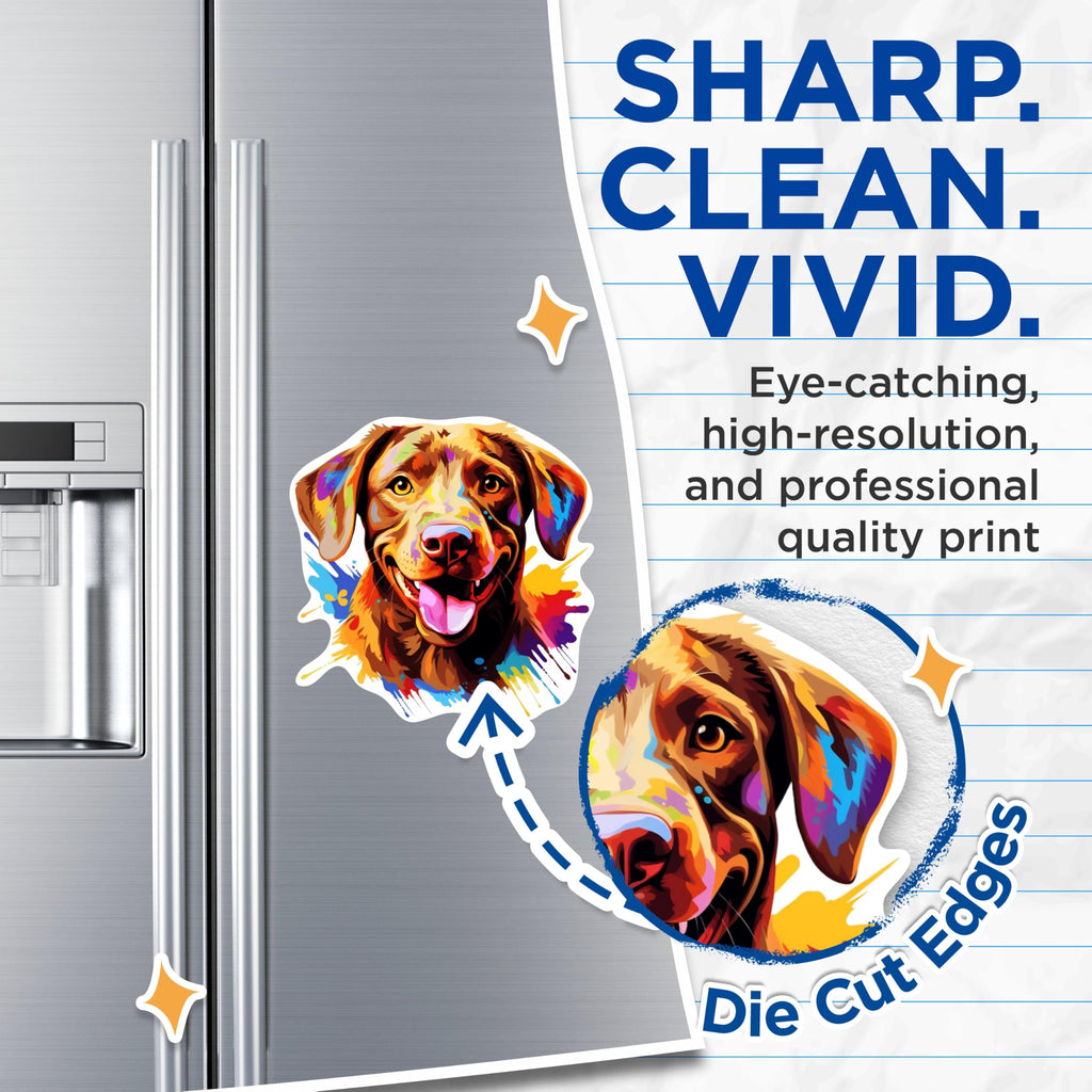 (2 Pack) Chesapeake Bay Retriever Dog Breed Magnets - 5 Inches On Longest Side - Choose from Over 100 Dog Breeds - for Cars, Refrigerators, Toolboxes - Made in USA - MAG1823